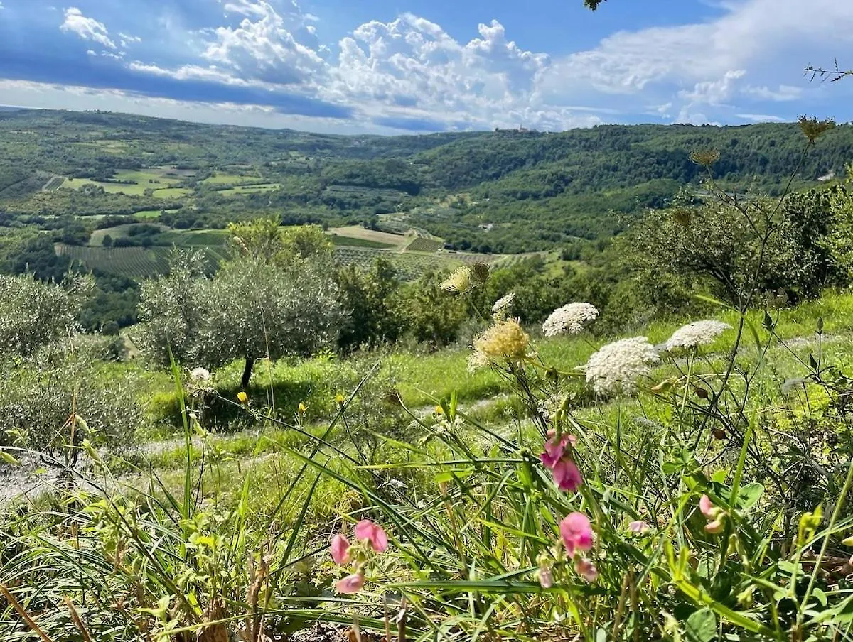 Bolara 60: The Cottage Groznjan Croatia