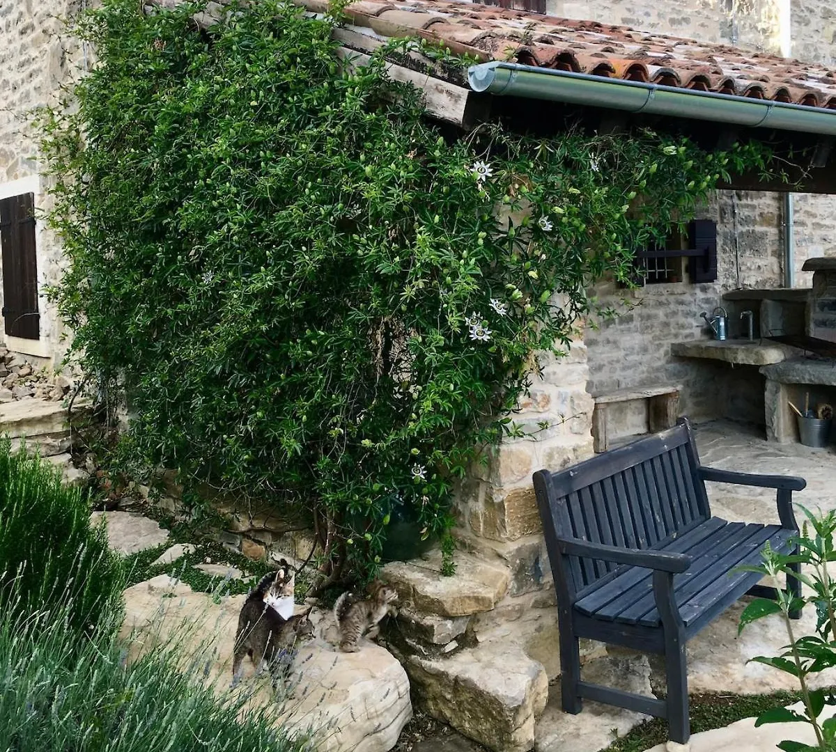 Holiday home Bolara 60: The Cottage Groznjan Croatia