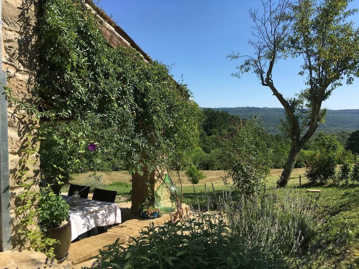 Bolara 60: The Cottage Groznjan Croatia